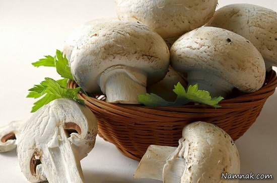 طرح کارآفرینی - پرورش قارچ