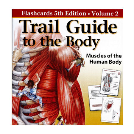 ترجمه پزشکی و مهندسی پزشکی - مدیریت ورزش برای افراد با بیماری های مزمن و معلولیت