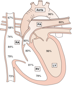 ترجمه پزشکی - مدلسازی نظری در همودینامیک های میکروگردش