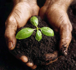 ترجمه مدیریت و محیط زیست - ده فایده سازمان تجارت جهانی