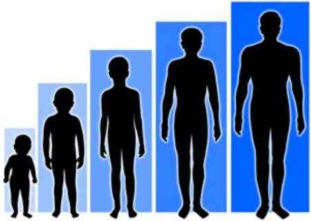 ترجمه روان شانسی- روان شناسی رشد