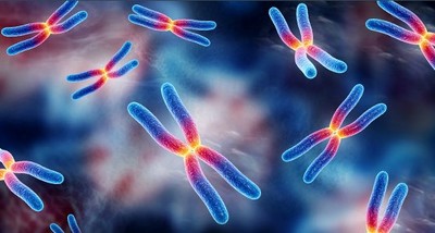 ترجمه کامپیوتر-ارزیابی دینامیکی کارائی الگوریتم ژنتیک برای مدیریت لجستیک معکوس RFID