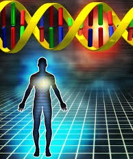 ترجمه کامپیوتر - راهنمای الگوریتم ژنتیک