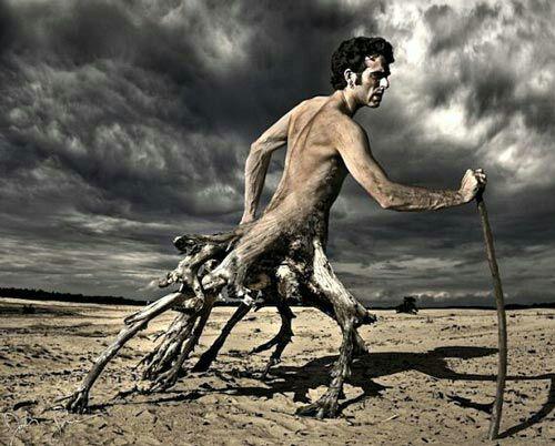 نقش وراثت محیط و اراده در رفتار انسان