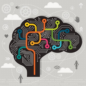 ترجمه مدیریت - اهمیت استراتژیک سرمایه فکری در بخش غیرانتفاعی