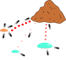 ترجمه کامپیوتر - الگوریتم بهینه سازی کلونی مورچه