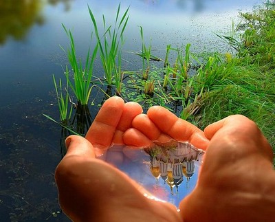 ترجمه محیط زیست