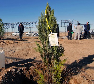 ترجمه رایگان  محیط زیست-زیست توده ورشد درختکاری