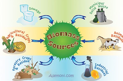 ترجمه محیط زیست - زیست توده