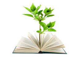 ابزارهای اجرائی قوانین مربوط به محیط زیست